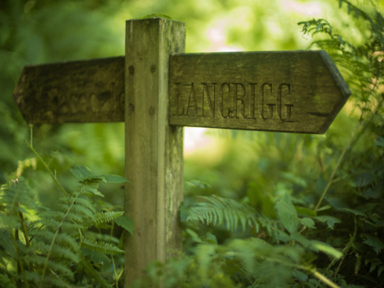 Woodland Walk Sign Lancrigg